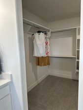 Spacious closet with dark carpet