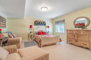 Spacious carpeted bedroom with high ceiling