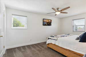 Spacious primary Bedroom featuring multiple windows, baseboards, dark carpet, and a ceiling fan