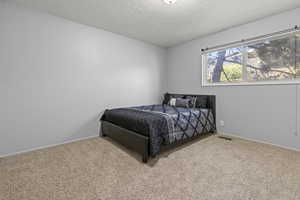 Bedroom featuring carpet flooring and plenty of natural light