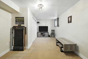 Carpeted living room with a textured ceiling and baseboards