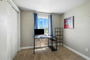 Office with carpet flooring and a textured ceiling