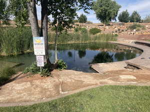 Water view