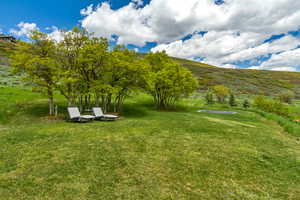 View of grassy yard with a mountain view and in ground trampoline
