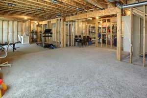 Large Unfinished Basement