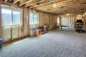 Large Unfinished Basement