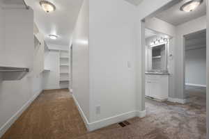 Master- Spacious closet featuring carpet