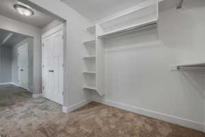 Master- Spacious closet featuring carpet flooring