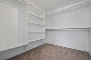 Walk in closet with carpet flooring