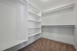 Walk-in closet with carpet floors