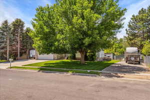 View of property hidden behind natural elements featuring driveway