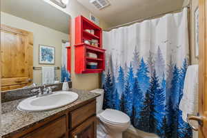 Bathroom featuring vanity, toilet, and a shower with curtain