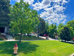 View of green lawn