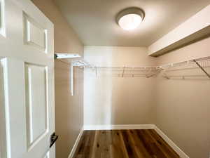 Walk in closet with dark wood-style flooring
