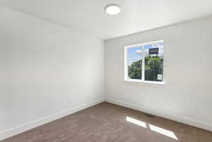 Carpeted empty room with baseboards