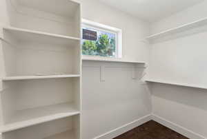 View of walk in closet