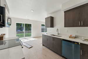 Kitchen featuring dishwasher, a sink, dark brown cabinets, light wood-style floors, and recessed lighting