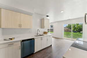 Kitchen featuring dishwasher, a sink, dark wood finished floors, light countertops, and modern cabinets