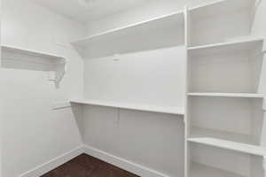 Spacious closet featuring dark wood-type flooring