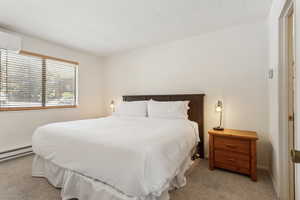 Bedroom featuring light colored carpet, a wall mounted AC, and a baseboard radiator