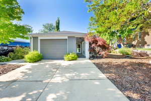 View of property hidden behind natural elements featuring concrete driveway and a garage