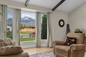 Mountain View from living room
