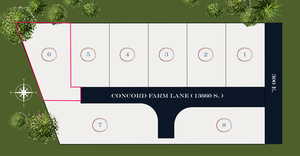 View of miscellaneous property collateral