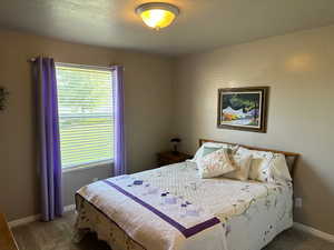 Carpeted bedroom featuring multiple windows and baseboards