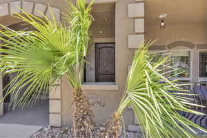 Doorway to property with stucco siding