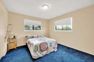 Carpeted bedroom featuring multiple windows and a textured ceiling