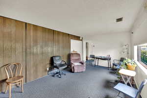Living area with wooden walls, carpet, and a textured ceiling