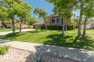 View of property hidden behind natural elements with a garage, a front yard, concrete driveway, and a residential view