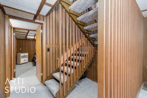 Staircase with carpet