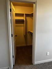 Walk in closet with carpet