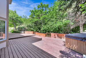 Deck in the backyard