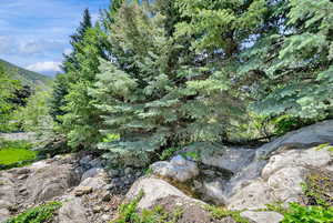 Waterfall on the side of the yard