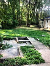 Backyard BBQ area