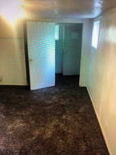 Basement bedroom 2