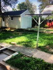 Back yard