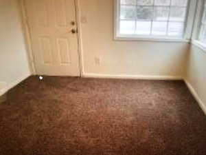 Living Room carpet and baseboards