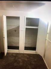 Basement bedroom 2 closet