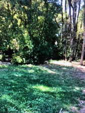 View of nature