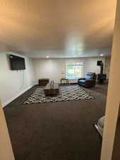 Carpeted living area with a textured ceiling, a wood stove, baseboards, and recessed lighting