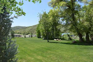 View of grassy yard featuring a mountain view and a rural view