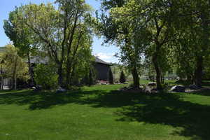 View of grassy yard
