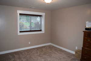 Unfurnished room with carpet floors, a textured ceiling, and baseboards