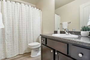 Full bathroom featuring vanity, toilet, wood finished floors, and a shower with shower curtain