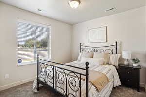 Carpeted bedroom featuring multiple windows and baseboards