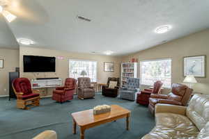 Living room with carpet floors, a textured ceiling, and lofted ceiling