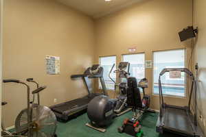 Exercise room with baseboards and carpet